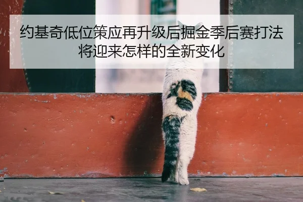 约基奇低位策应再升级后掘金季后赛打法将迎来怎样的全新变化